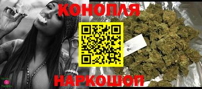 сатива Пенза