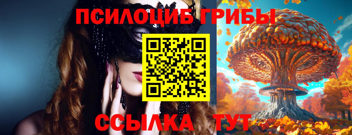 Псилоцибиновые грибы GOLDEN TEACHER Рузаевка